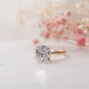 The Adeline Ring | Round Lab Diamond Tiffany Engagement Solitaire