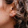 The Amorette Earrings | Lab Diamond Round Split Claw