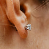 The Diandra Earrings | Round Lab Diamond Six Claw Solitaire Studs