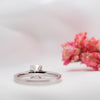 The Estella Ring | Moissanite & Diamond Round Shoulder Set Engagement