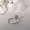 The Layla Ring | Lab Diamond Oval Hidden Halo Engagement Ring