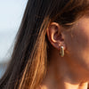 The Talwyn Earrings |  100% Recycled 9k Gold Huggies